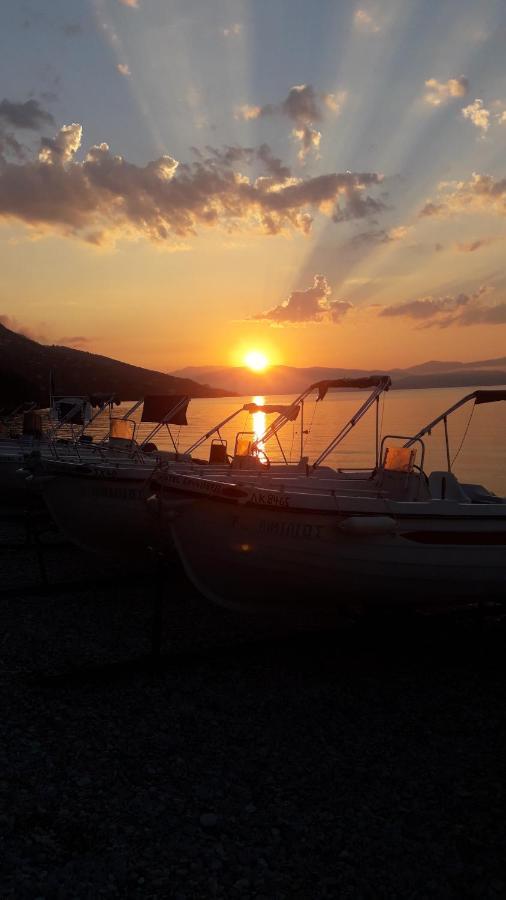 Vasiliki See View Apartments Barbati Luaran gambar