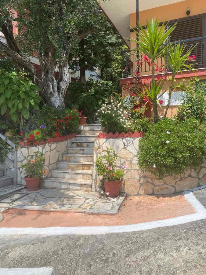 Vasiliki See View Apartments Barbati Luaran gambar