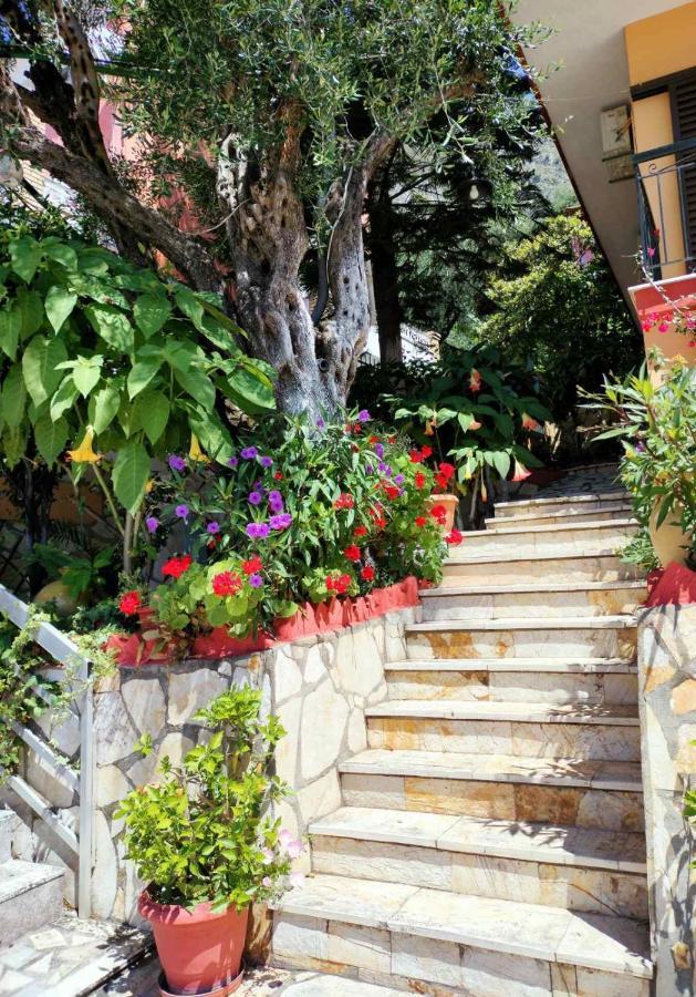Vasiliki See View Apartments Barbati Luaran gambar